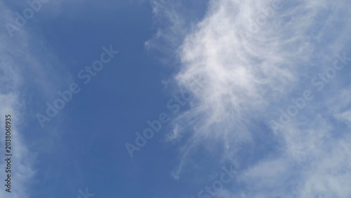 Low-angle vertical style composition focusing on a bright, fluffy white cloud mass sitting sharply against a vibrant blue sky on the right side.