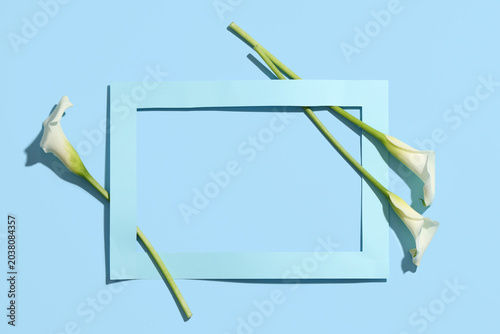 Frame with beautiful calla ...