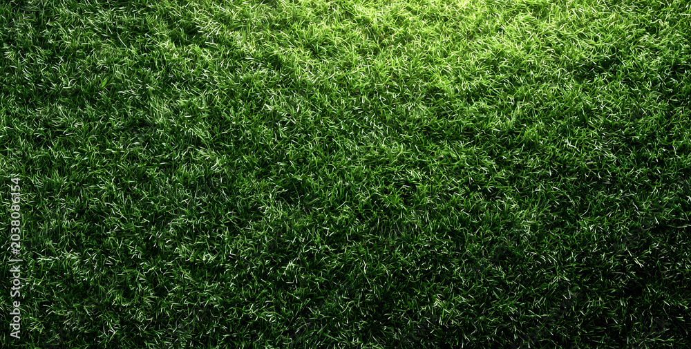Fototapeta premium Top view of lush green grass lawn texture background