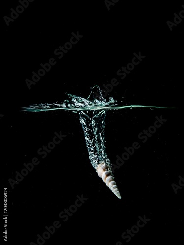 shell water splash isolated on black