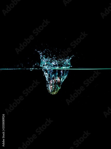 shell water splash isolated on black