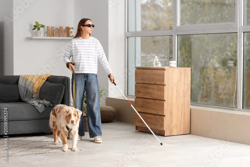 Blind young woman with stic...