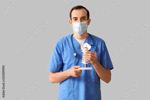 Male doctor with spine mode...