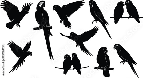Obraz na plátně Comprehensive Collection of Tropical Parrot Silhouettes Featuring Macaws Cockatoos and Lovebirds Flying or Perching Isolated on White Background for Exotic Nature Designs