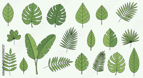 Photos Set of Green Tropical Plant Leaves Vector Illustration, Botanical Collection