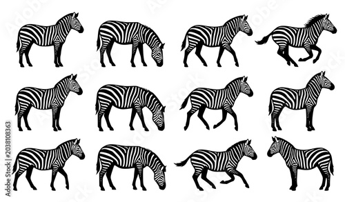 Photography Modern zebra silhouette vector collection black and white safari animal set