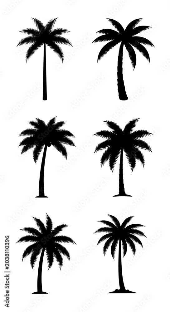 Fototapeta premium Set of Palm Tree Silhouettes, Tropical Plant Vector Illustrations