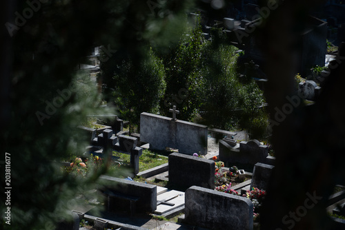 Tumbas en un cementerio vistas desde detrás de un árbol.