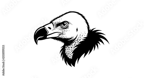 Foto Vulture Head Illustration - Scavenger Bird Portrait