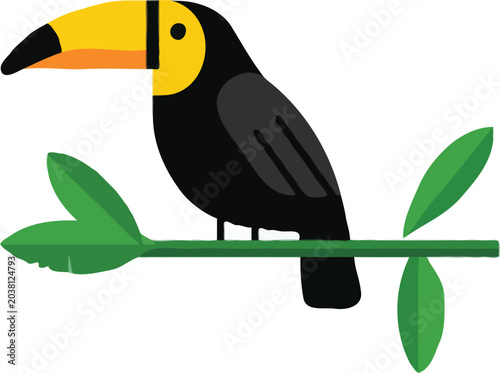 toucan on a branch