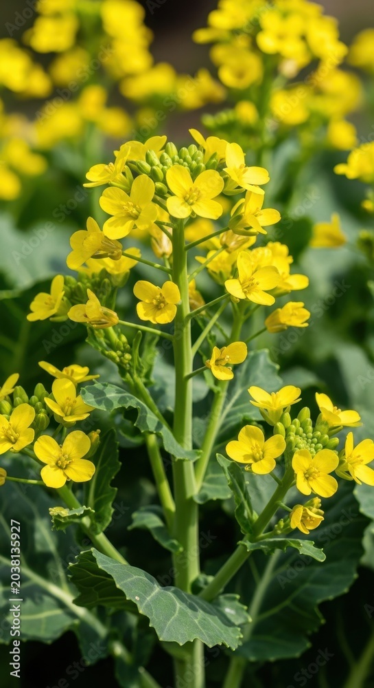 Fototapeta premium Vibrant Yellow Flowers Blooming in a Lush Green Garden.