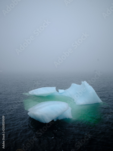 Vertical image of a Small chunk of ice calved off a larger iceberg floats near the shoreline in Twillingate harbor on a cold foggy day in Newfoundland-Labrador