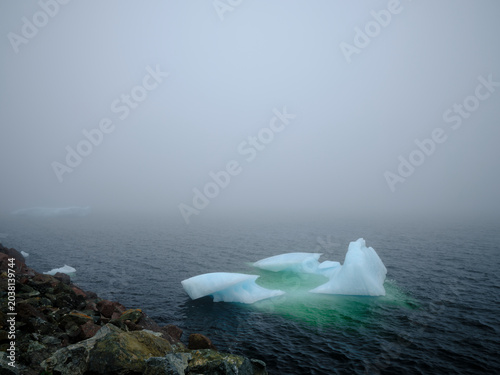 Small chunk of ice calved off a larger iceberg floats near the shoreline in Twillingate harbor on a cold foggy day in Newfoundland-Labrador