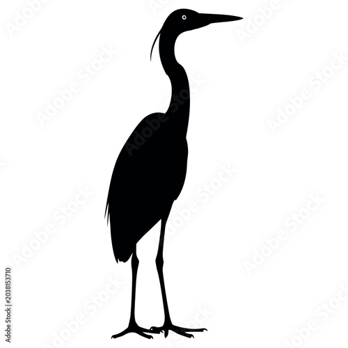Elegant black silhouette of a graceful heron bird standing still in a simple flat graphic design style for creative projects