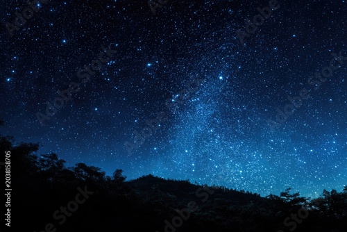 Night sky with countless stars above silhouetted trees