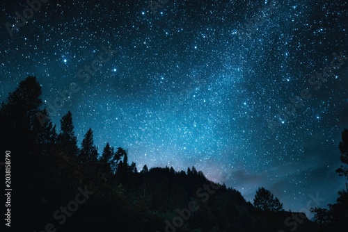 Night sky above silhouetted trees with glowing stars