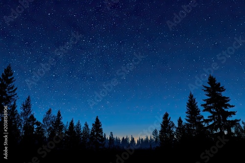 Dark forest silhouetted against a starry night sky
