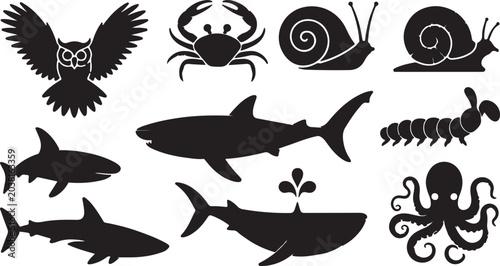 Set of black silhouettes of different types of insect legs (cursorial, saltatorial, scansorial, fossorial, raptorial, foragial, natatorial) for biology lessons See Less
