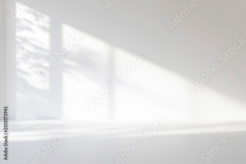Minimal blurred White wall with shadow of leaves overlay backgrounds. Sunlight effect shadow on the wall.