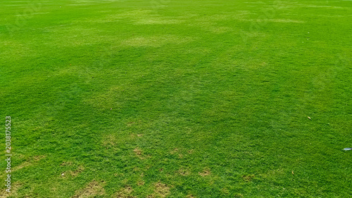 green grass field, green lawn for sports, green grass in the garden