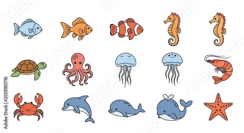 Colorful marine life illustrations featuring fish seahorses and various sea creatures