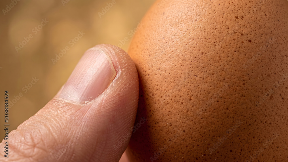 Fototapeta premium Extreme Macro Shot of a Human Thumb Pressing Against a Speckled Brown Eggshell