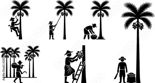 Diverse palm harvest scenes featuring stick figure workers utilizing ladders scythes and carrying bags of collected fruit near tropical trees in rural environment.