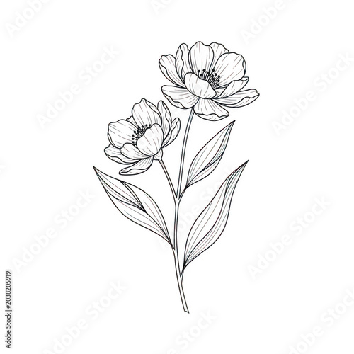 A drawing of a bunch of flowers
