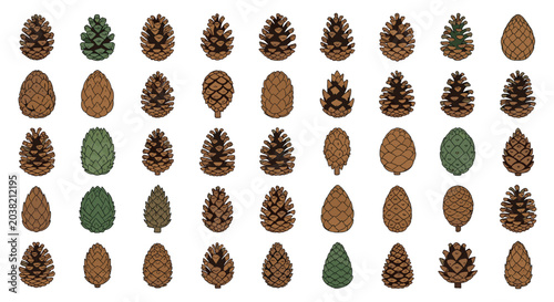 Grid of forty-eight different pine cone illustrations showing a wide variety of shapes, sizes, textures, and natural brown and green colors.