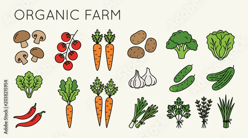 Tableau sur toile Assortment of Fresh Organic Vegetables and Mushrooms.