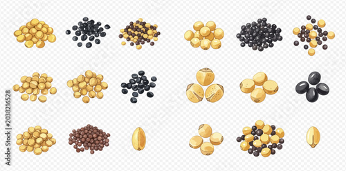 Schilderij op canvas Various types of beans and lentils, including soybeans, black beans, and mixed legumes, in different piles