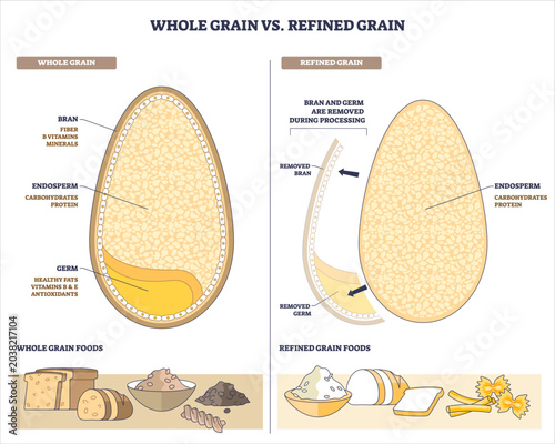 Fotografie Whole grain vs refined grain comparison shows a kernel cutaway with bran, germ, and endosperm, contrasting nutrient-rich whole with processed endosperm-only foods