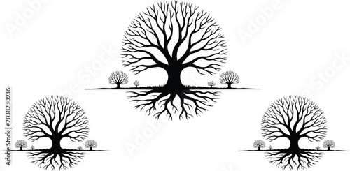 Bild auf Leinwand Abstract oak tree landscape line art graphic elements pack isolated on white background featuring branching canopy ground and root systems symbol