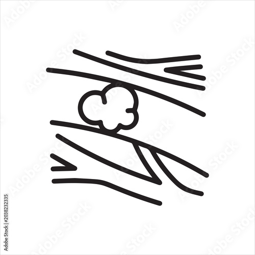 Foto Stroke Icon