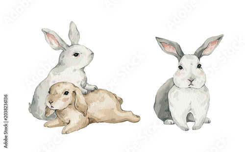 Cute watercolor rabbits on white background.  Domestic animal, farm bunny