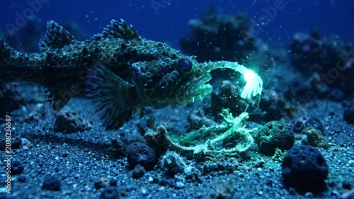 Close-up of a well-camouflaged scorpionfish approaching an ethereal bioluminescent glow on the dark seabed, revealing an intriguing underwater encounter