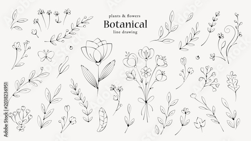Fotografie 花や葉の植物の線画イラスト ボタニカルなペン画風の手描きセット