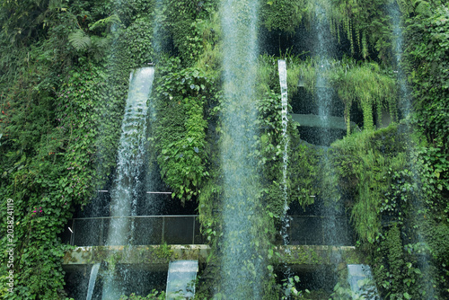 Photography Scenery of Singapore Botanical Garden