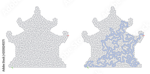 Valokuva Pagoda shaped hexagonal maze puzzle with solution path illustration