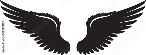 Black wings, wing icon, feathered symbol, angel wings, vector graphics
