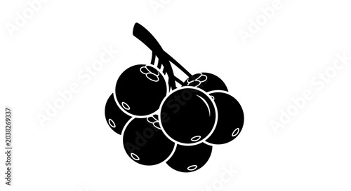 Photos Berries on a stem symbolize fresh organic fruit and the natural bounty of a harvest in summer time