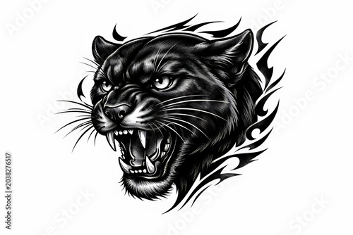 cabeza de puma negro de tatuaje en fondo blanco