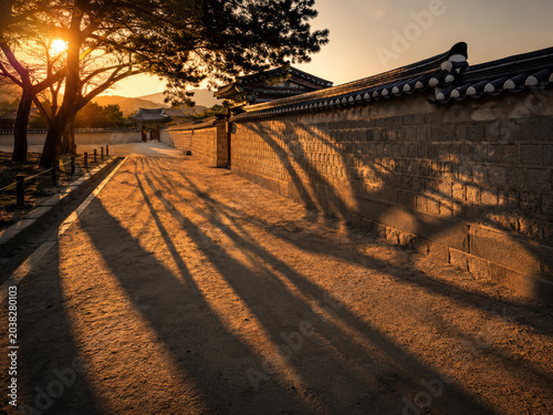 Historic Korean Palace Wall with Long Pine Tree Shadows
