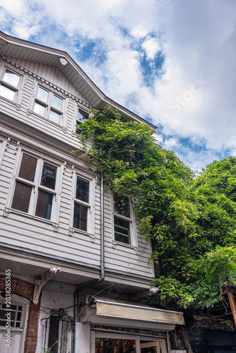 Ivy plants covering the facade of the white wooden building. Green climbing ivy.