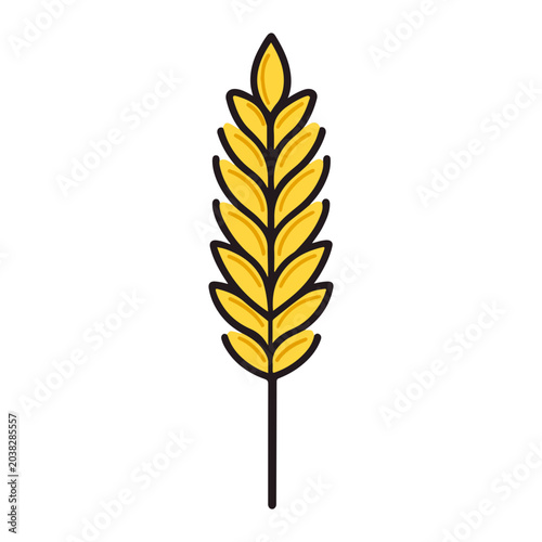 wheat, oktoberfest, festival, vector, transparent background, agriculture, grain, cereal, nature, plant, harvest, rural, ripe