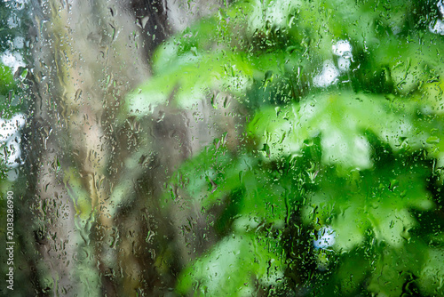 Rain falls on glass, creating a blurred view of green leaves outside on a cloudy day in a garden