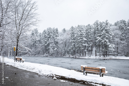 Tableau sur toile Snow covered benches by a frozen winter lake
