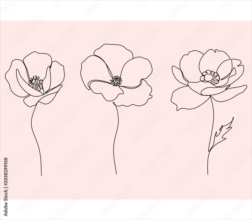 Fototapeta premium Set of line drawings of flowers with minimalist botanical design. Vector illustration of abstract flowers isolated on white background.