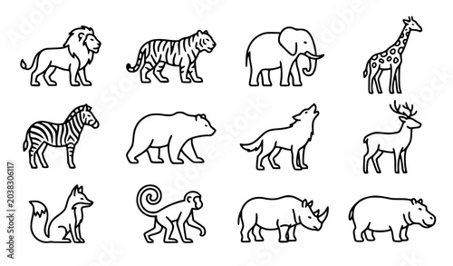 Photography Hand Drawn Wild Animal Outline Icon Collection Vector Illustration for Nature De