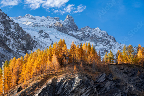 Canvas Print La Meije and glaciers in Ecrins National Park, French Alps